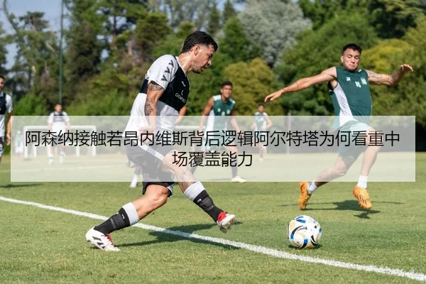 img_1783245314962_1250_1_496.jpg